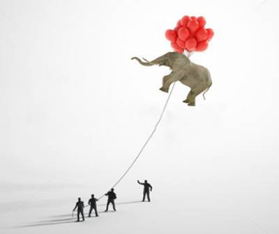 We Are Customer Oriented